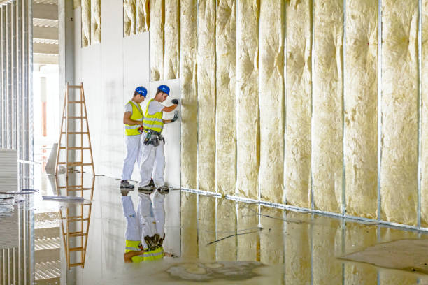 Best Eco-Friendly Insulation in Tustin, CA